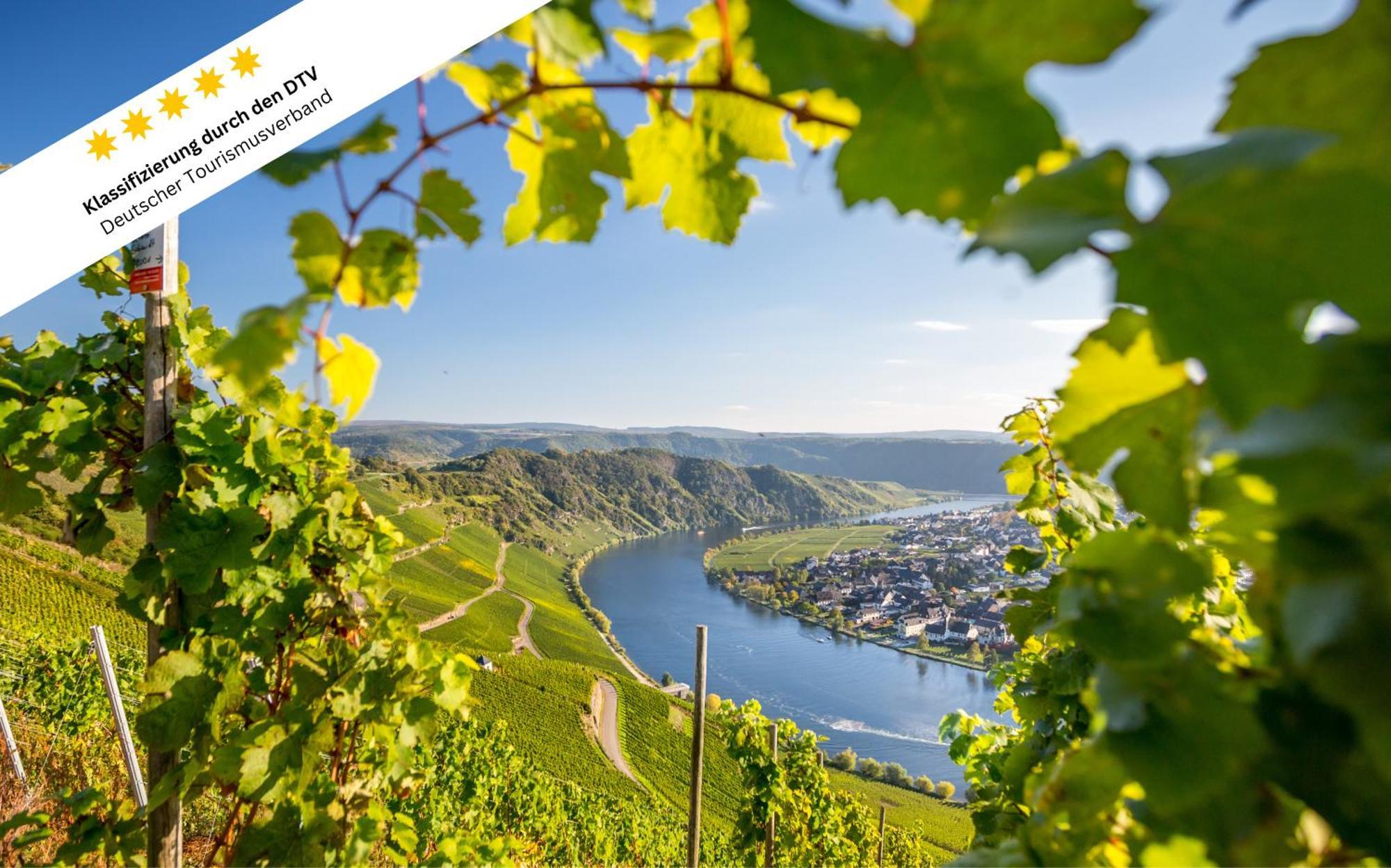 Apartament Wohlfuehloase An Der Mosel Osann-Monzel Zewnętrze zdjęcie